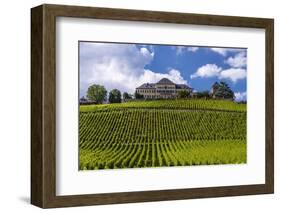 Germany, Hesse, Rheingau (Region), Geisenheim (Village), Johannisberg District-Udo Siebig-Framed Photographic Print