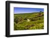 Germany, Hesse, Rheingau Region, Oestrich-Winkel, District Hallgarten, Vineyards-Udo Siebig-Framed Photographic Print