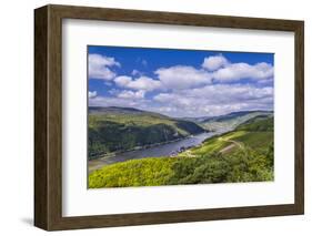 Germany, Hesse, Rheingau Region, RŸdesheim Am Rhein, District Assmannshausen-Udo Siebig-Framed Photographic Print