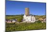 Germany, Hesse, Rheingau (Region), RŸdesheim Am Rhein (Town), Boosenburg-Udo Siebig-Mounted Photographic Print