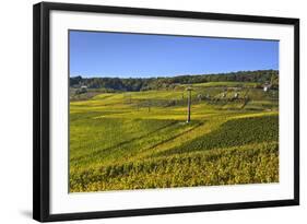 Germany, Hesse, Rheingau (Region), RŸdesheim Am Rhein (Town), Cable Car to the Niederwald Monument-Udo Siebig-Framed Photographic Print