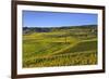 Germany, Hesse, Rheingau (Region), RŸdesheim Am Rhein (Town), Cable Car to the Niederwald Monument-Udo Siebig-Framed Photographic Print