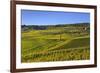 Germany, Hesse, Rheingau (Region), RŸdesheim Am Rhein (Town), Cable Car to the Niederwald Monument-Udo Siebig-Framed Photographic Print