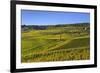 Germany, Hesse, Rheingau (Region), RŸdesheim Am Rhein (Town), Cable Car to the Niederwald Monument-Udo Siebig-Framed Photographic Print