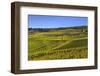 Germany, Hesse, Rheingau (Region), RŸdesheim Am Rhein (Town), Cable Car to the Niederwald Monument-Udo Siebig-Framed Photographic Print