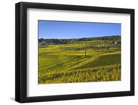 Germany, Hesse, Rheingau (Region), RŸdesheim Am Rhein (Town), Cable Car to the Niederwald Monument-Udo Siebig-Framed Photographic Print