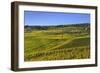 Germany, Hesse, Rheingau (Region), RŸdesheim Am Rhein (Town), Cable Car to the Niederwald Monument-Udo Siebig-Framed Photographic Print