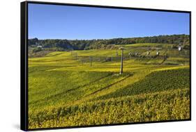 Germany, Hesse, Rheingau (Region), RŸdesheim Am Rhein (Town), Cable Car to the Niederwald Monument-Udo Siebig-Framed Stretched Canvas