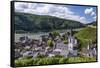 Germany, Hesse, Rheingau (Region), RŸdesheim Am Rhein (Town), District Assmannshausen-Udo Siebig-Framed Stretched Canvas