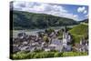 Germany, Hesse, Rheingau (Region), RŸdesheim Am Rhein (Town), District Assmannshausen-Udo Siebig-Stretched Canvas