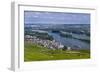 Germany, Hesse, Rheingau (Region), RŸdesheim Am Rhein (Town), View of the Town with Vineyards-Udo Siebig-Framed Photographic Print