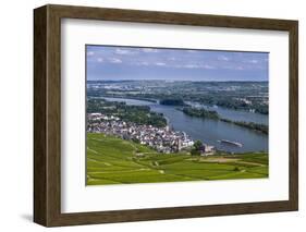 Germany, Hesse, Rheingau (Region), RŸdesheim Am Rhein (Town), View of the Town with Vineyards-Udo Siebig-Framed Photographic Print