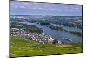 Germany, Hesse, Rheingau (Region), RŸdesheim Am Rhein (Town), View of the Town with Vineyards-Udo Siebig-Mounted Photographic Print
