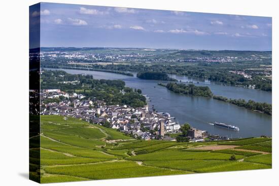 Germany, Hesse, Rheingau (Region), RŸdesheim Am Rhein (Town), View of the Town with Vineyards-Udo Siebig-Stretched Canvas
