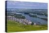 Germany, Hesse, Rheingau (Region), RŸdesheim Am Rhein (Town), View of the Town with Vineyards-Udo Siebig-Stretched Canvas