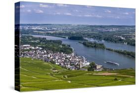 Germany, Hesse, Rheingau (Region), RŸdesheim Am Rhein (Town), View of the Town with Vineyards-Udo Siebig-Stretched Canvas