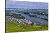 Germany, Hesse, Rheingau (Region), RŸdesheim Am Rhein (Town), View of the Town with Vineyards-Udo Siebig-Stretched Canvas