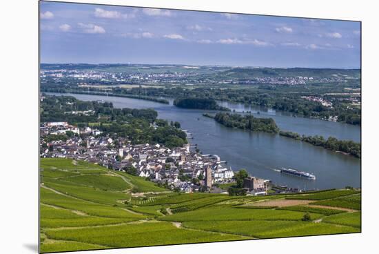 Germany, Hesse, Rheingau (Region), RŸdesheim Am Rhein (Town), View of the Town with Vineyards-Udo Siebig-Mounted Premium Photographic Print