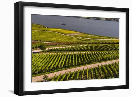 Germany, Hesse, Rheingau (Region), RŸdesheim Am Rhein (Town), Vineyards-Udo Siebig-Framed Photographic Print