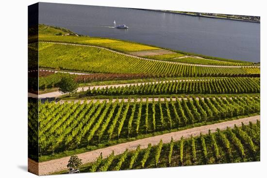 Germany, Hesse, Rheingau (Region), RŸdesheim Am Rhein (Town), Vineyards-Udo Siebig-Stretched Canvas