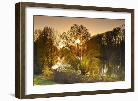 Germany, Hesse, Rhine Valley, Lampertheim (Village), Biedensand Conservation Area-Udo Siebig-Framed Photographic Print