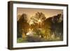 Germany, Hesse, Rhine Valley, Lampertheim (Village), Biedensand Conservation Area-Udo Siebig-Framed Photographic Print