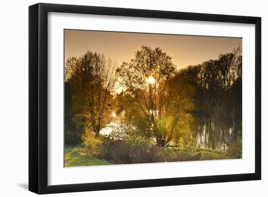 Germany, Hesse, Rhine Valley, Lampertheim (Village), Biedensand Conservation Area-Udo Siebig-Framed Photographic Print