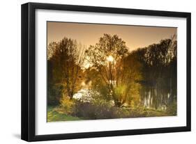 Germany, Hesse, Rhine Valley, Lampertheim (Village), Biedensand Conservation Area-Udo Siebig-Framed Photographic Print