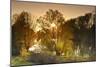 Germany, Hesse, Rhine Valley, Lampertheim (Village), Biedensand Conservation Area-Udo Siebig-Mounted Photographic Print