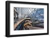 Germany, Hessen, Frankfurt on the Main, Zeil, Shopping Centre 'My Zeil'-Udo Siebig-Framed Photographic Print