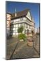 Germany, Hessen, Fritzlar, Old Town, Cathedral Square-Chris Seba-Mounted Photographic Print