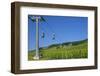 Germany, Hessen, Middle Rhine Valley, RŸdesheim, Niederwalddenkmal, Vineyards, Cable Car-Chris Seba-Framed Photographic Print