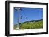 Germany, Hessen, Middle Rhine Valley, RŸdesheim, Niederwalddenkmal, Vineyards, Cable Car-Chris Seba-Framed Photographic Print