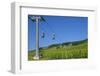 Germany, Hessen, Middle Rhine Valley, RŸdesheim, Niederwalddenkmal, Vineyards, Cable Car-Chris Seba-Framed Photographic Print