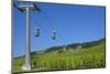 Germany, Hessen, Middle Rhine Valley, RŸdesheim, Niederwalddenkmal, Vineyards, Cable Car-Chris Seba-Mounted Photographic Print