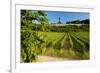 Germany, Hessen, Middle Rhine Valley, RŸdesheim, Vineyard, Niederwalddenkmal, Morning Light-Chris Seba-Framed Photographic Print