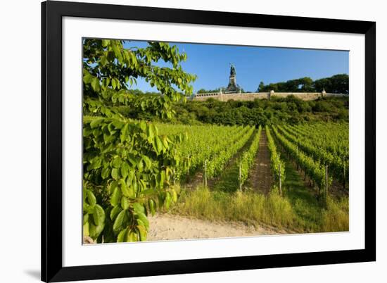 Germany, Hessen, Middle Rhine Valley, RŸdesheim, Vineyard, Niederwalddenkmal, Morning Light-Chris Seba-Framed Photographic Print