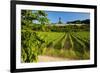 Germany, Hessen, Middle Rhine Valley, RŸdesheim, Vineyard, Niederwalddenkmal, Morning Light-Chris Seba-Framed Photographic Print