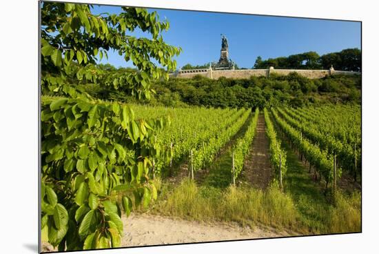 Germany, Hessen, Middle Rhine Valley, RŸdesheim, Vineyard, Niederwalddenkmal, Morning Light-Chris Seba-Mounted Photographic Print