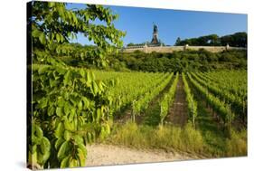 Germany, Hessen, Middle Rhine Valley, RŸdesheim, Vineyard, Niederwalddenkmal, Morning Light-Chris Seba-Stretched Canvas