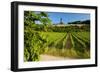 Germany, Hessen, Middle Rhine Valley, RŸdesheim, Vineyard, Niederwalddenkmal, Morning Light-Chris Seba-Framed Photographic Print