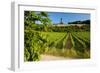 Germany, Hessen, Middle Rhine Valley, RŸdesheim, Vineyard, Niederwalddenkmal, Morning Light-Chris Seba-Framed Photographic Print