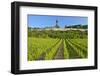 Germany, Hessen, Middle Rhine Valley, R?desheim, Vineyard, Niederwalddenkmal, Morning Light-Chris Seba-Framed Photographic Print