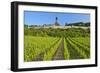 Germany, Hessen, Middle Rhine Valley, R?desheim, Vineyard, Niederwalddenkmal, Morning Light-Chris Seba-Framed Photographic Print