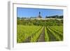 Germany, Hessen, Middle Rhine Valley, R?desheim, Vineyard, Niederwalddenkmal, Morning Light-Chris Seba-Framed Photographic Print