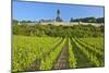 Germany, Hessen, Middle Rhine Valley, R?desheim, Vineyard, Niederwalddenkmal, Morning Light-Chris Seba-Mounted Photographic Print