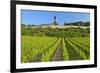 Germany, Hessen, Middle Rhine Valley, R?desheim, Vineyard, Niederwalddenkmal, Morning Light-Chris Seba-Framed Photographic Print