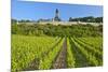 Germany, Hessen, Middle Rhine Valley, R?desheim, Vineyard, Niederwalddenkmal, Morning Light-Chris Seba-Mounted Photographic Print