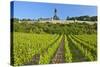 Germany, Hessen, Middle Rhine Valley, R?desheim, Vineyard, Niederwalddenkmal, Morning Light-Chris Seba-Stretched Canvas