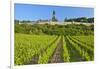 Germany, Hessen, Middle Rhine Valley, R?desheim, Vineyard, Niederwalddenkmal, Morning Light-Chris Seba-Framed Photographic Print